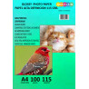 PAPEL ALTA RESOLUCION GLOSSY A4X100 HJS 115 GRS